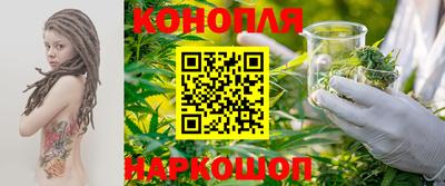 крисы Отрадный