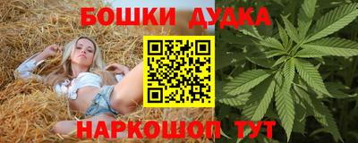 крисы Отрадный