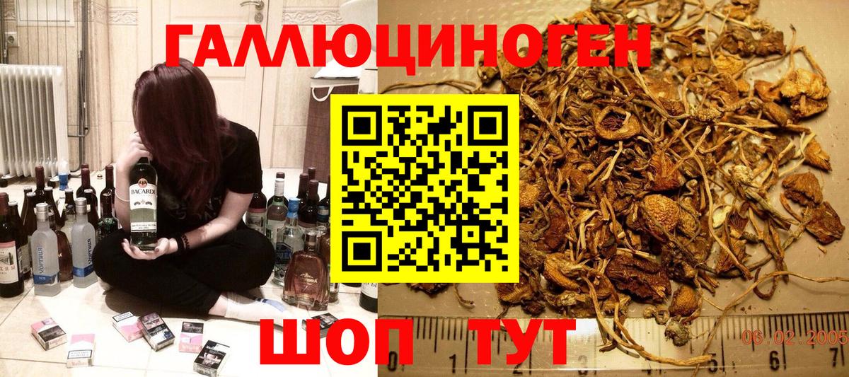 Алатырь  Псилоцибиновые грибы Cubensis  Вход с VPN  Галлюциногенные грибы Psilocybine cubensis 